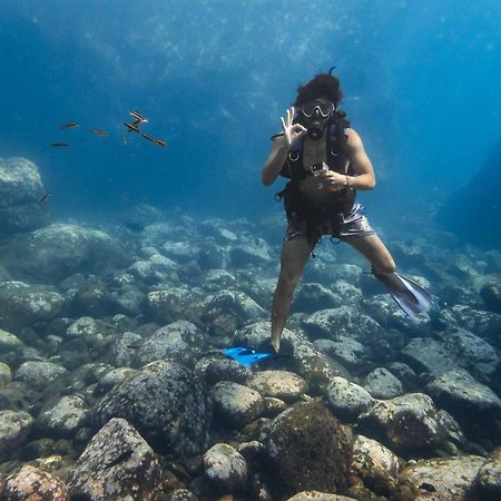 ホテル Sealion Dive Center Topolobampo エクステリア 写真