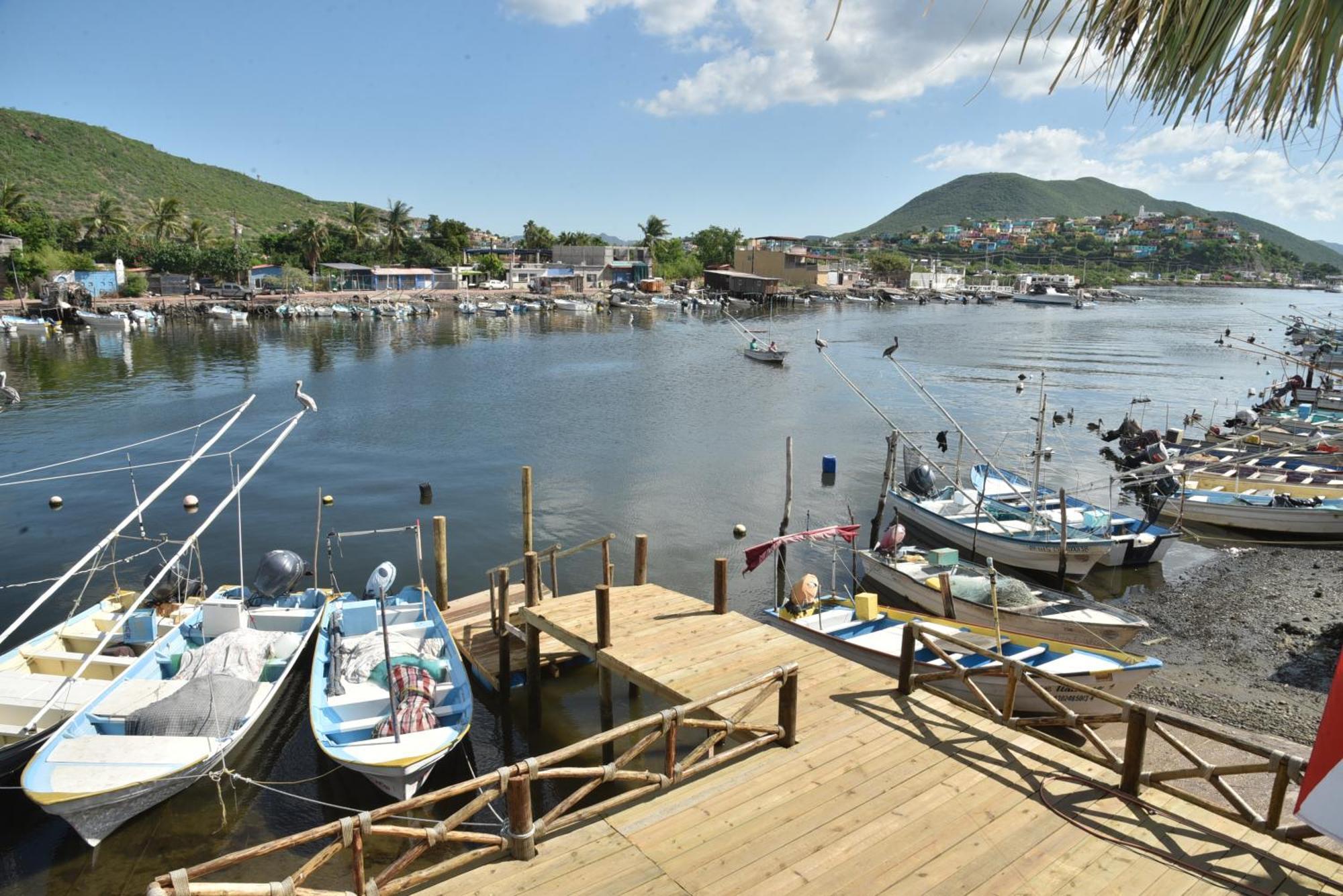 ホテル Sealion Dive Center Topolobampo エクステリア 写真